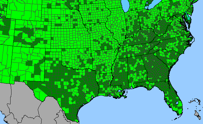 The range of Persicaria lapathifolia